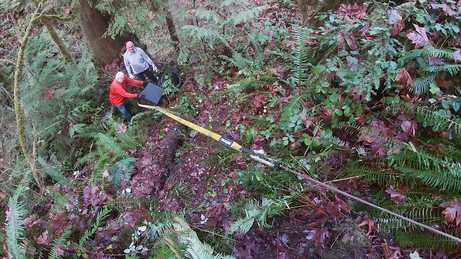 001 - Safe Being Winched Up.png