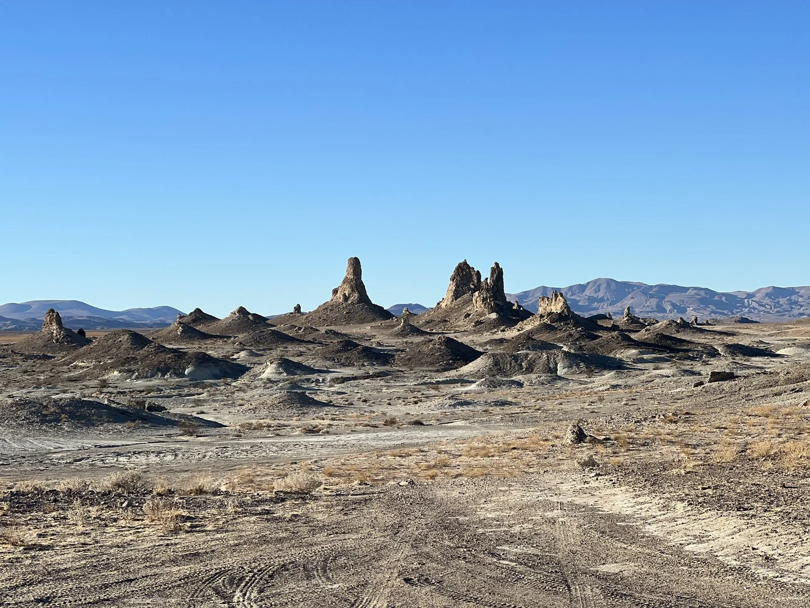 021E91D4-C2C7-49BC-8714-0377D7944920.webp