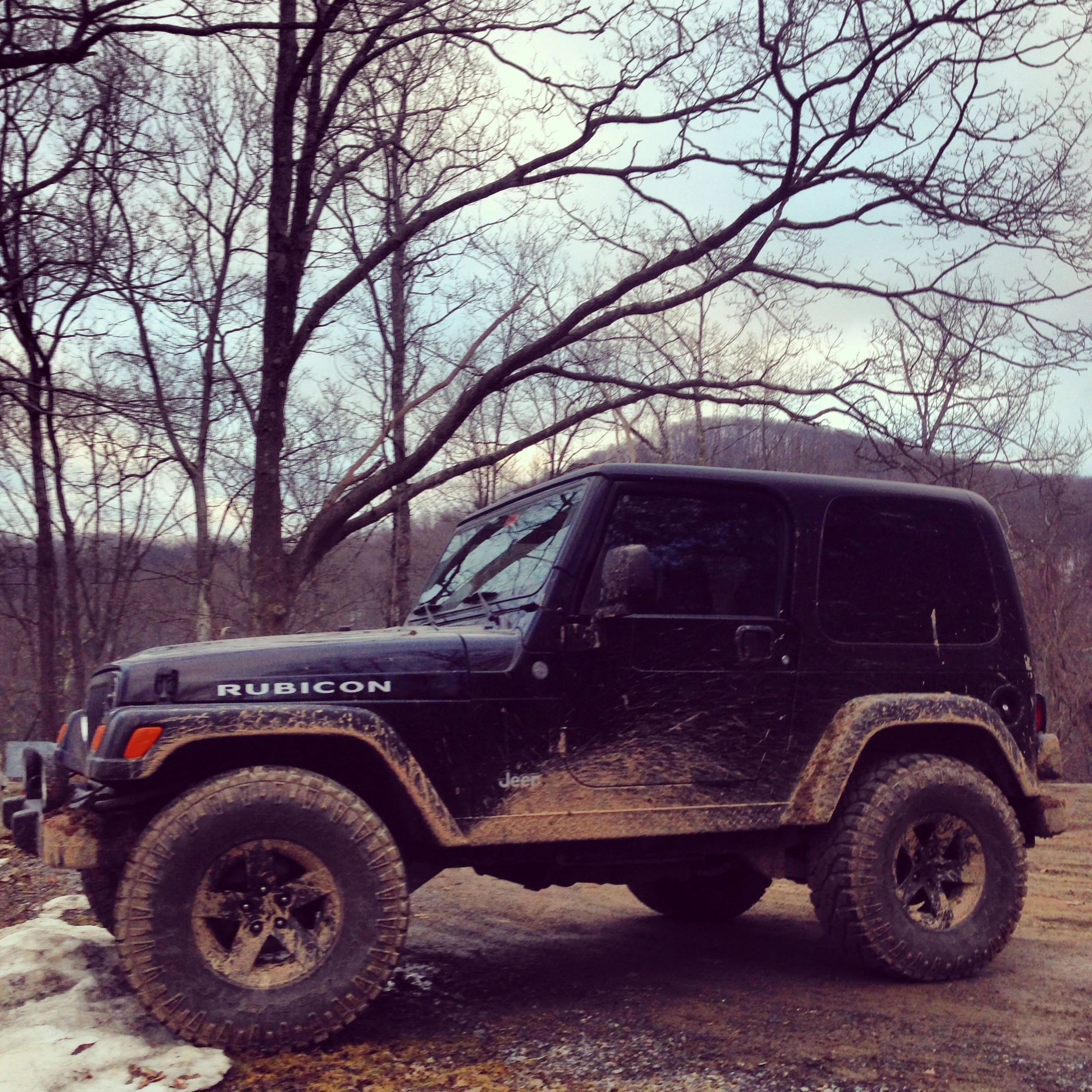 04 Rubi 3.jpg