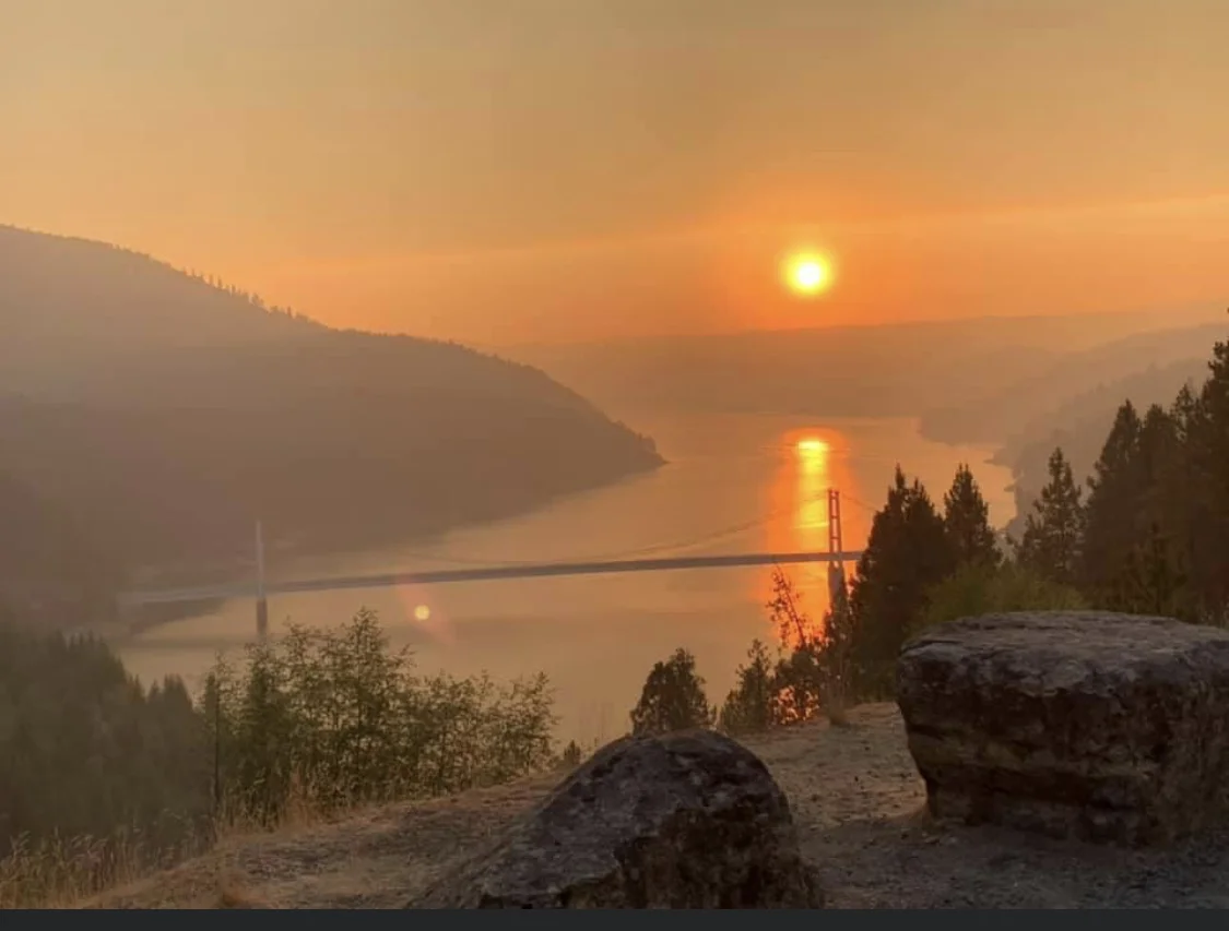 0FE7CF2F-6FE9-48FE-A33F-1CDA5CE749E2.webp