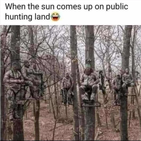 1000000475.jpg