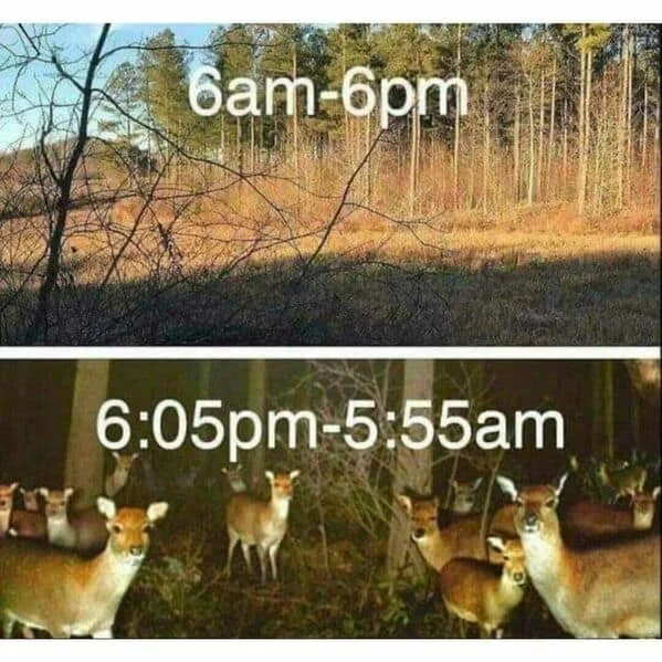 1000000477.jpg