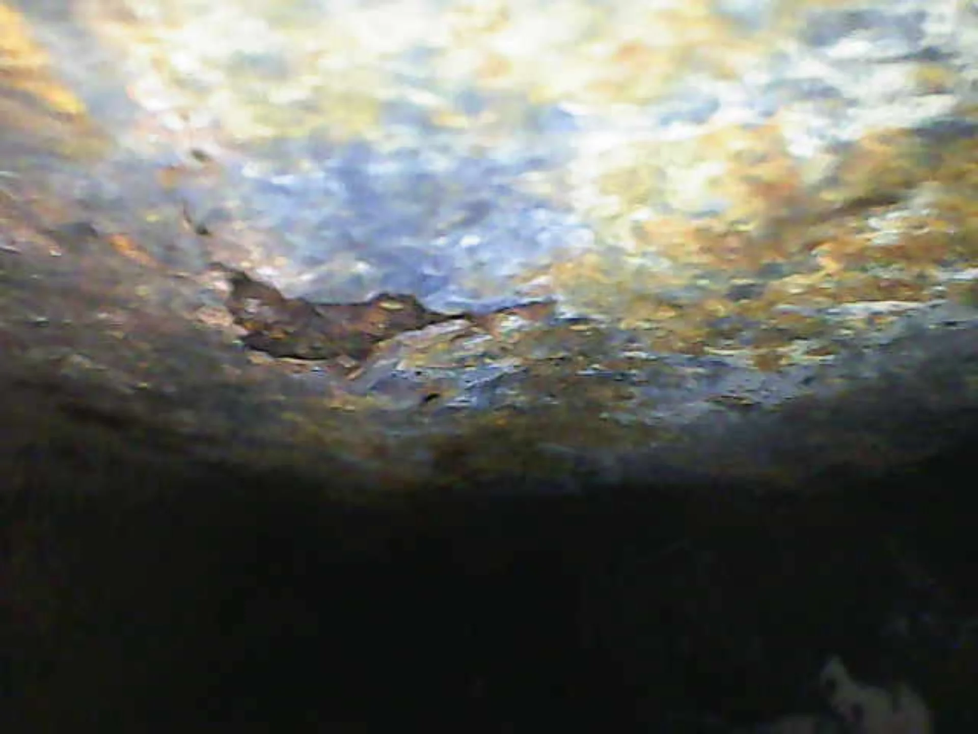 1000000569.webp