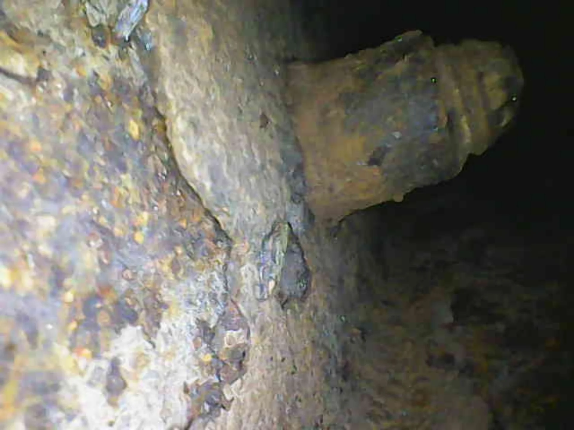 1000000571.webp