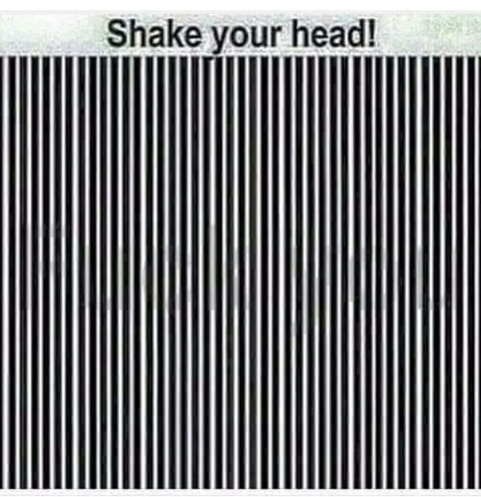 1000004824.webp