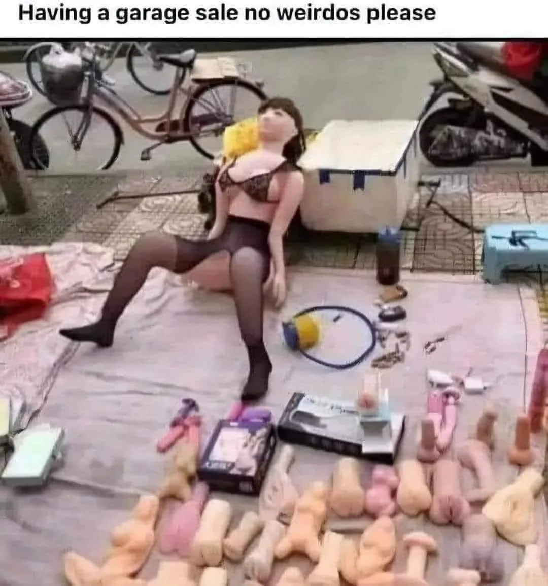1000005600.webp