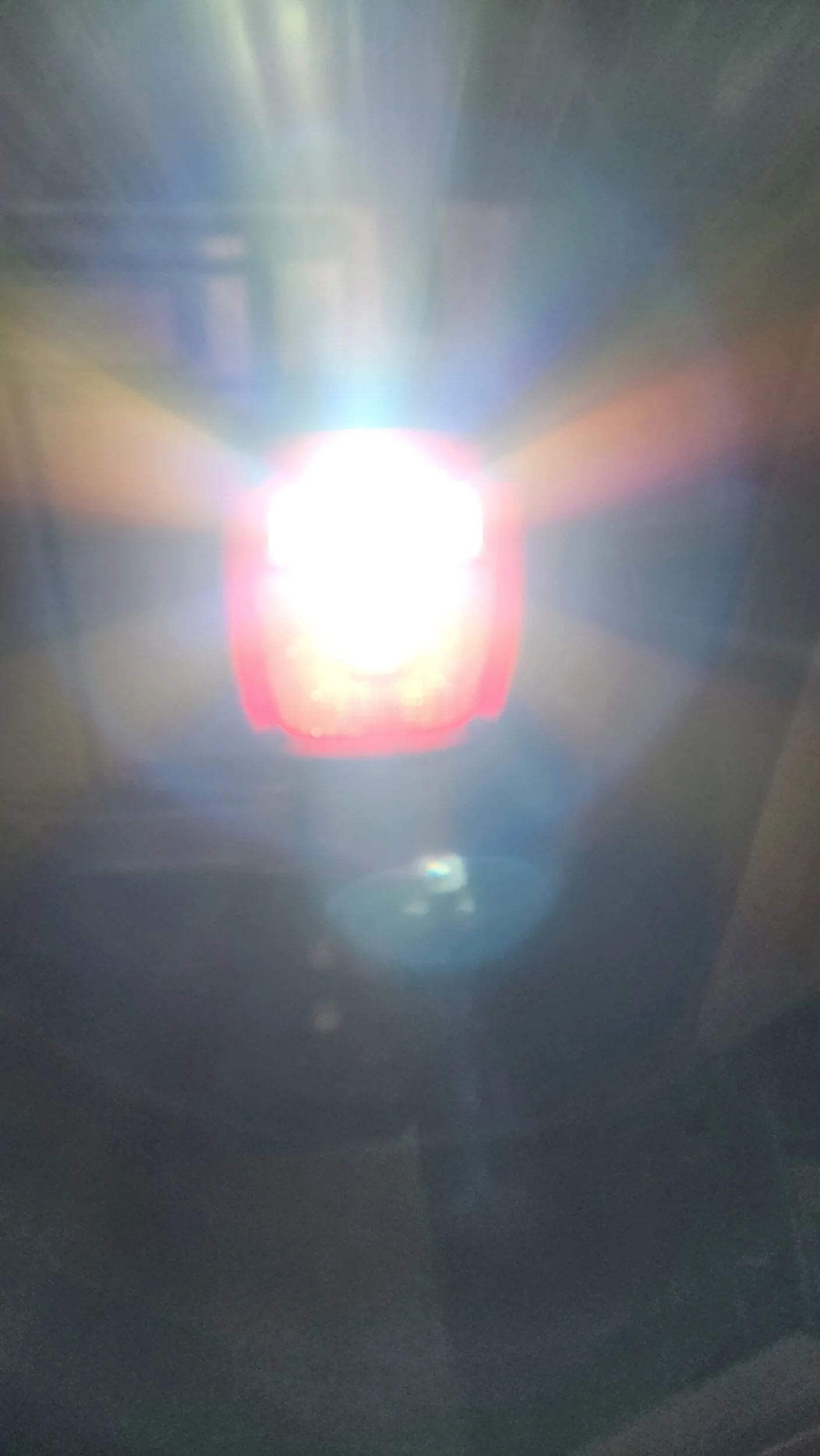 1000006300.webp