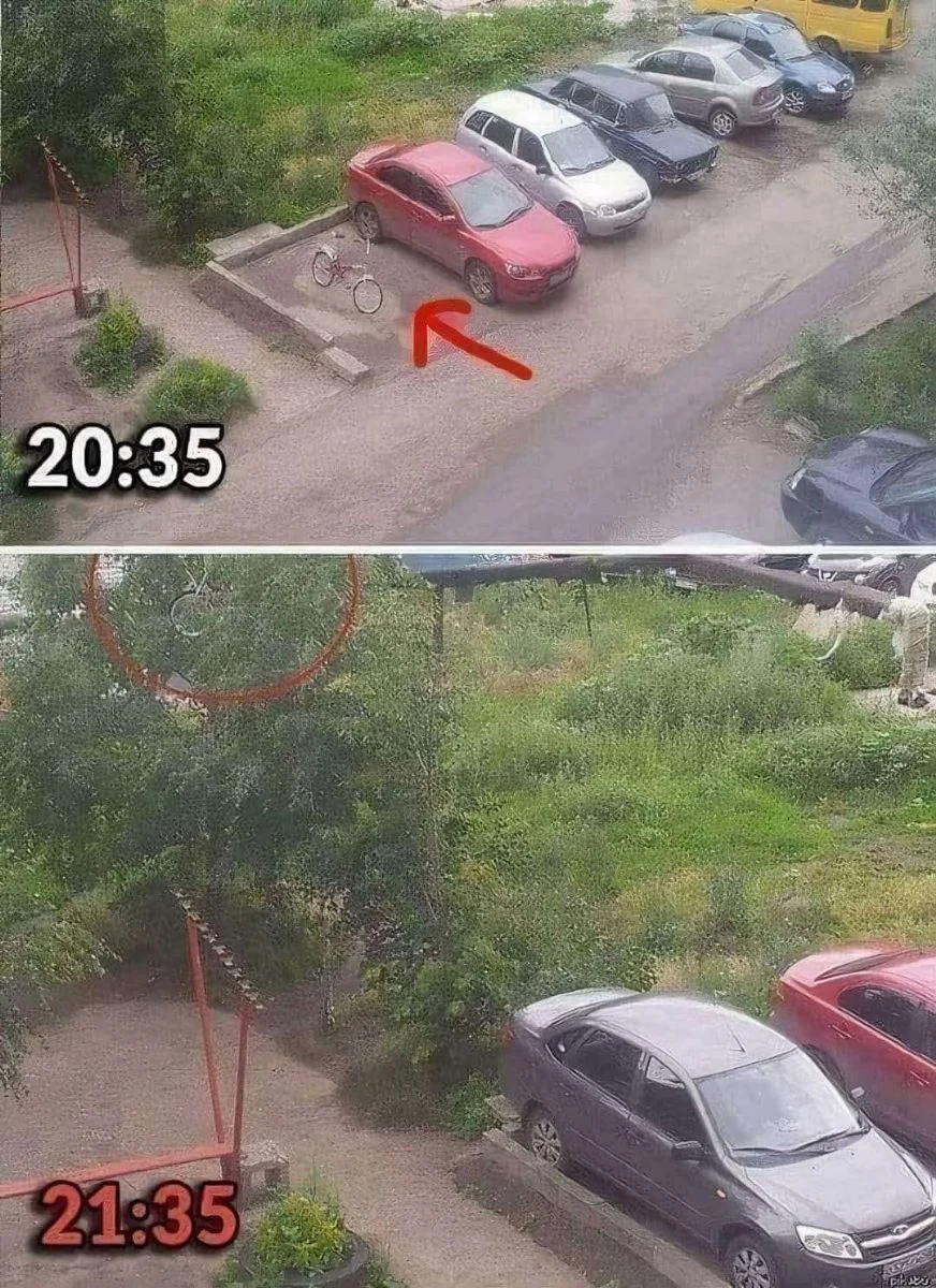 1000006608-3335538.webp