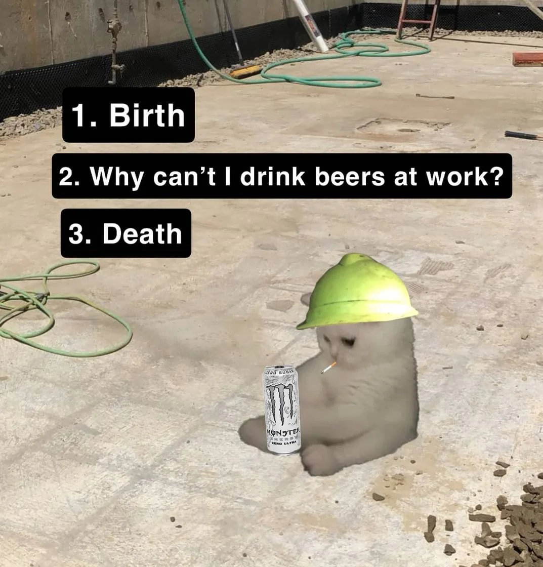 1000008775.webp