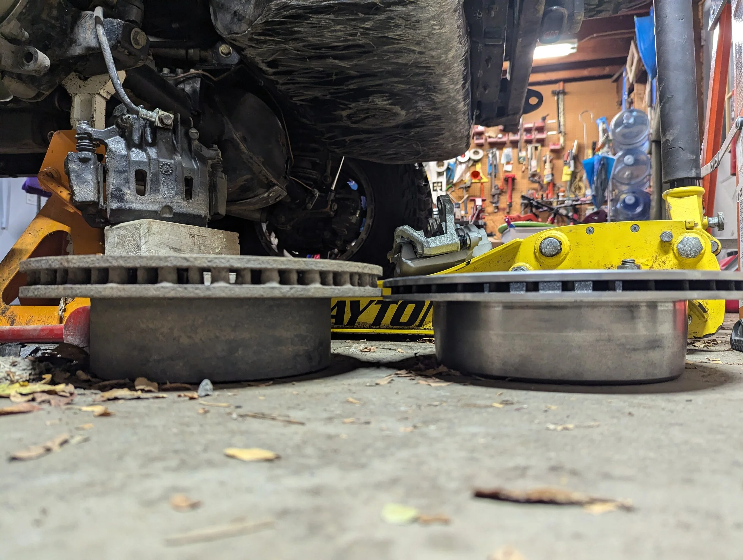 1000008796.jpg