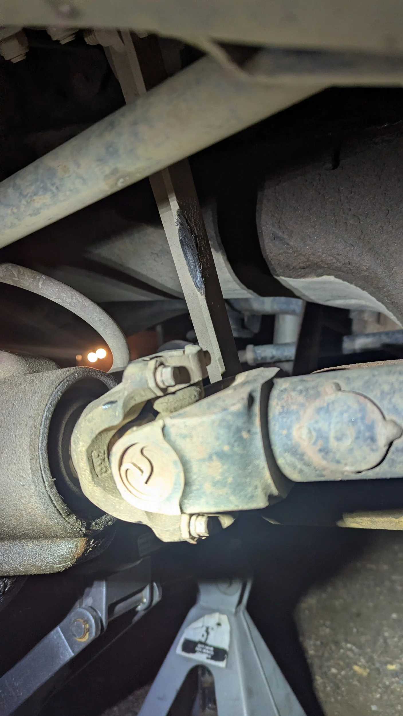 1000011880.webp