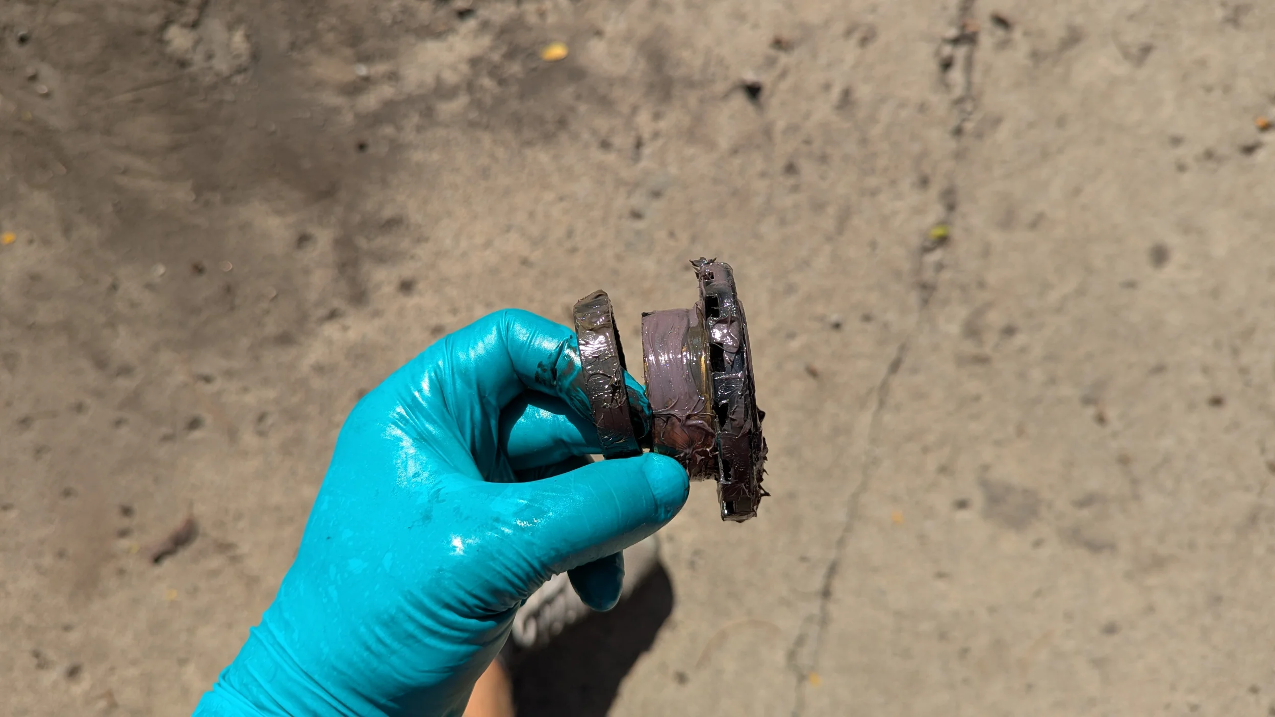 1000015904.webp