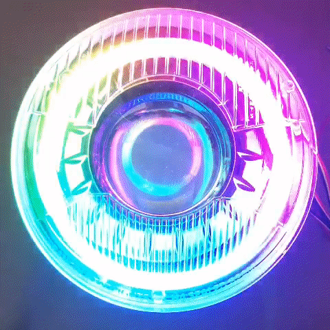 1000023169.gif
