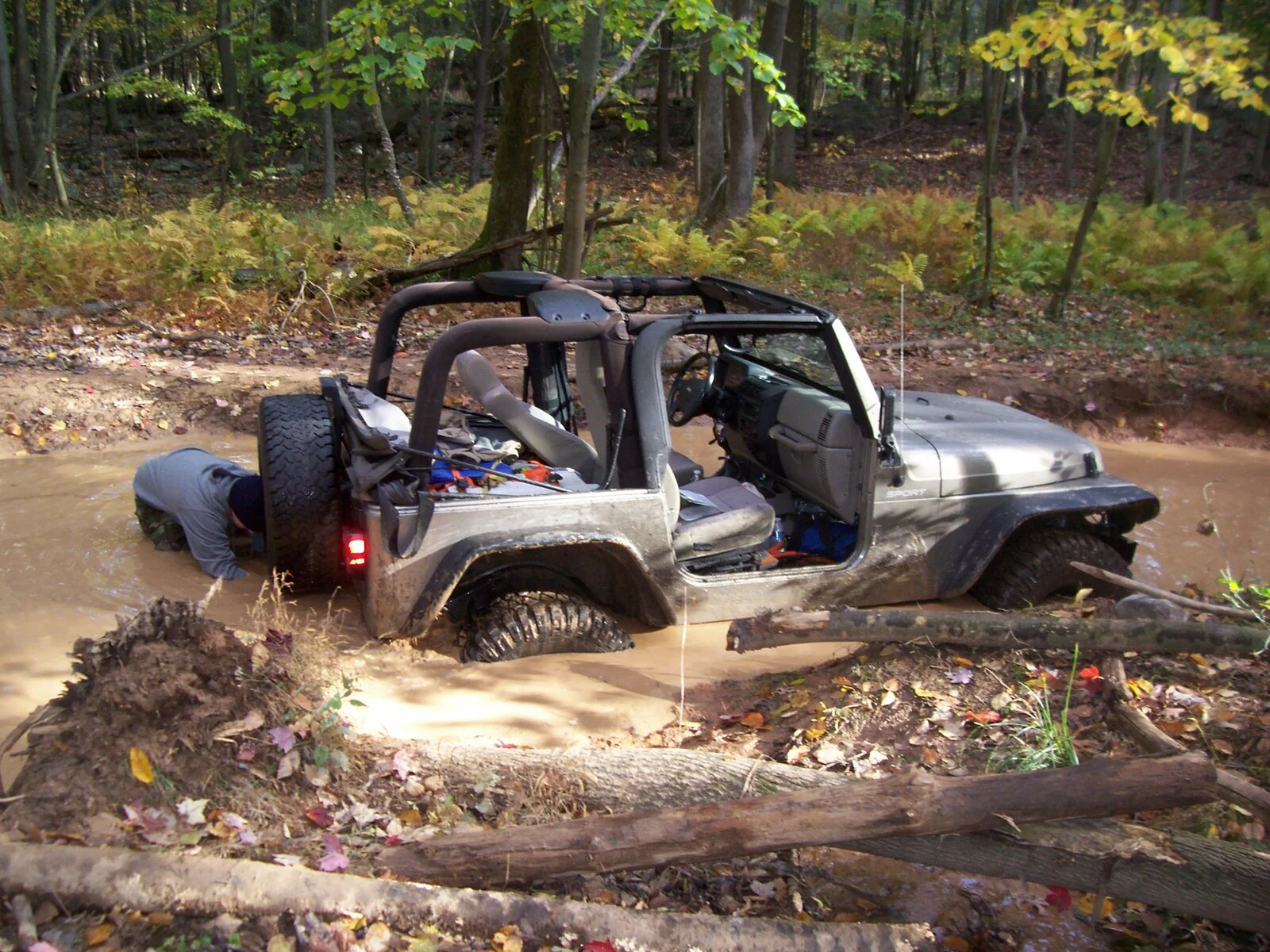 100_0870.webp