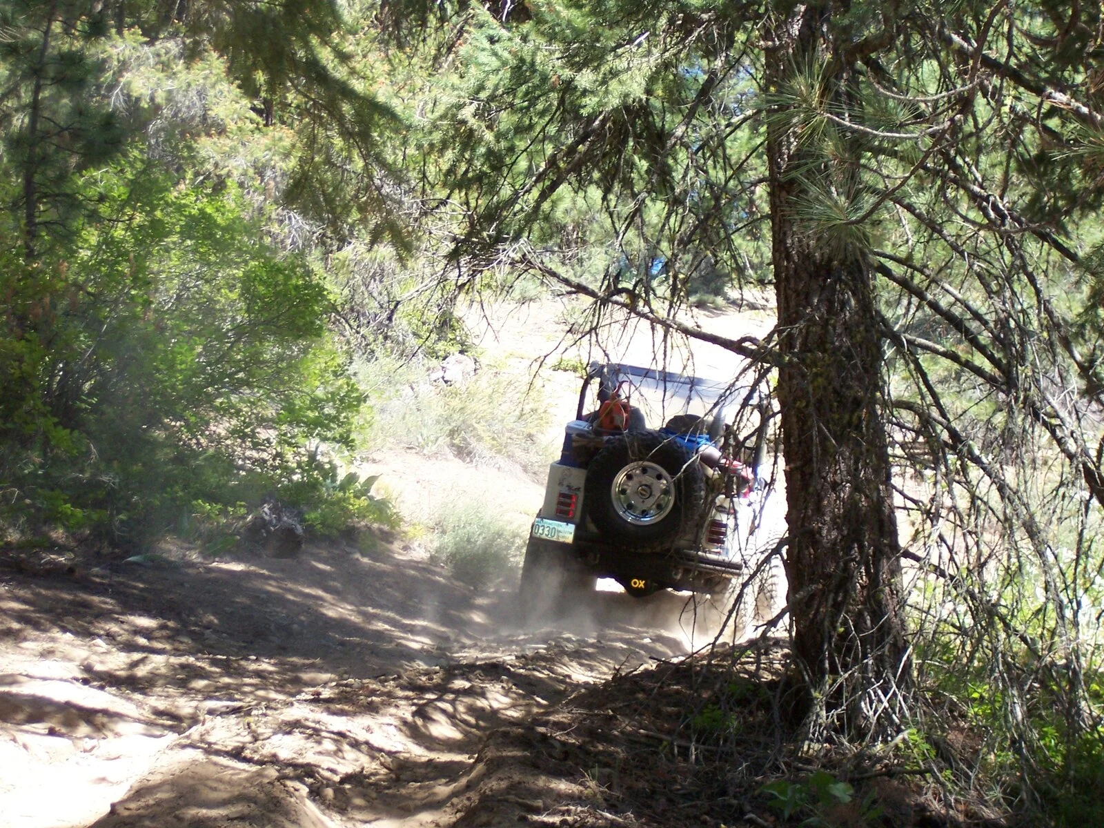 100_0977.webp
