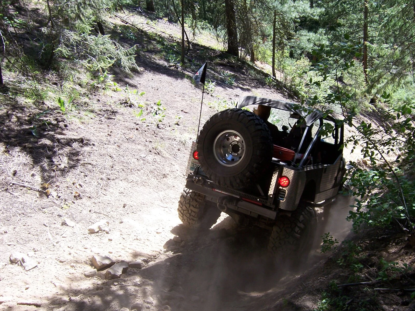 100_0978.webp