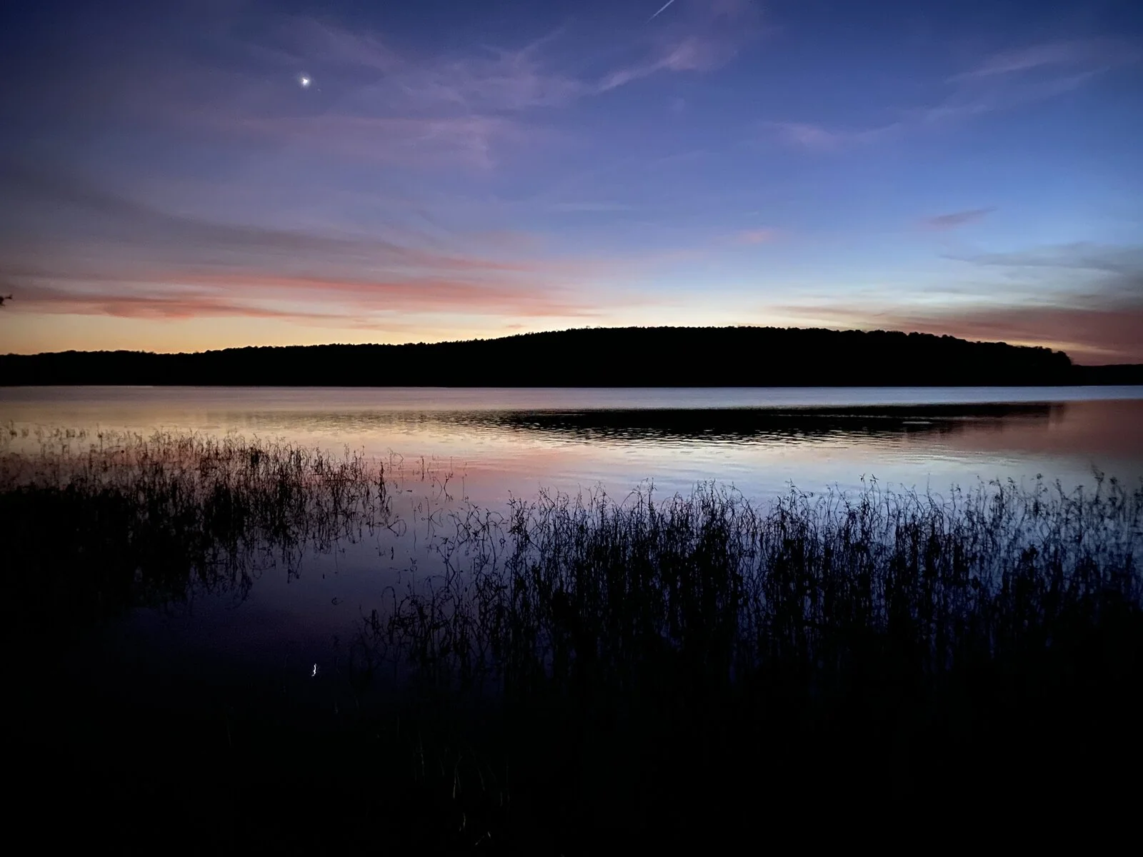 1175813D-C91C-499C-9B8B-74DF39CB1A84.jpeg