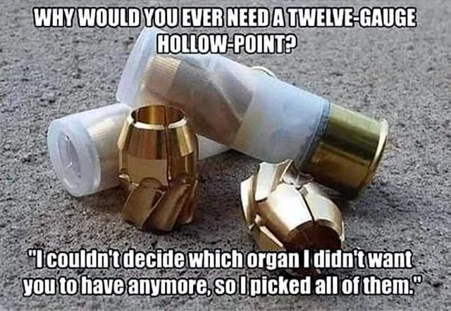 12 Gauge.webp