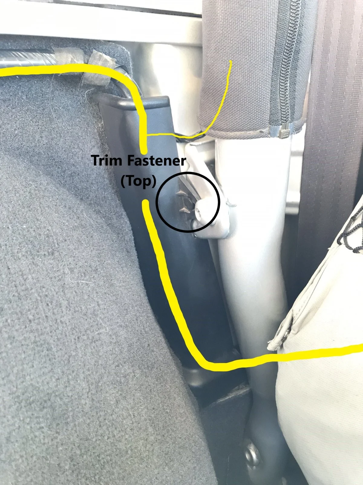 13.webp