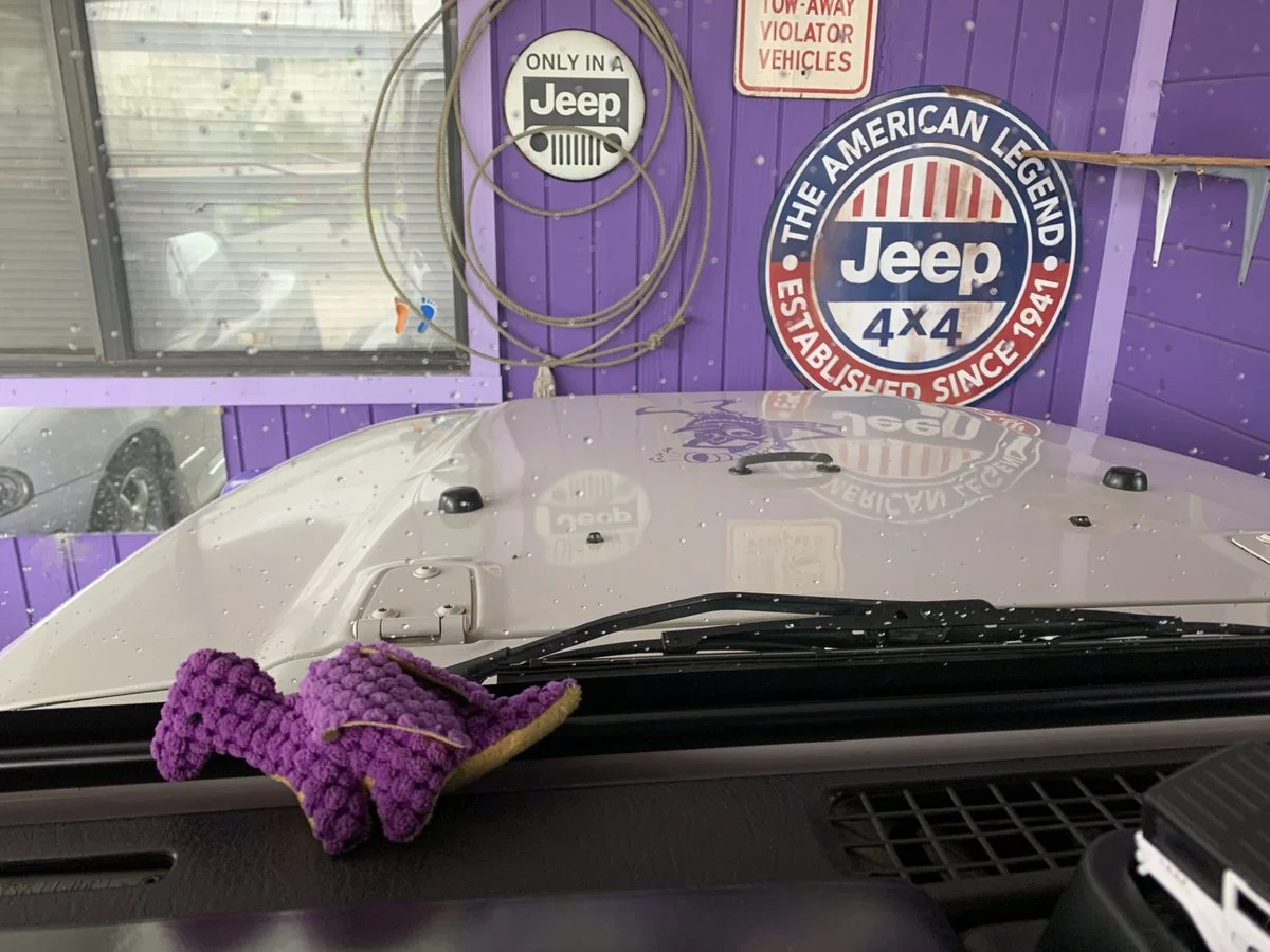 14440DB3-5B27-4104-B0A6-5B5D4654159D.jpeg