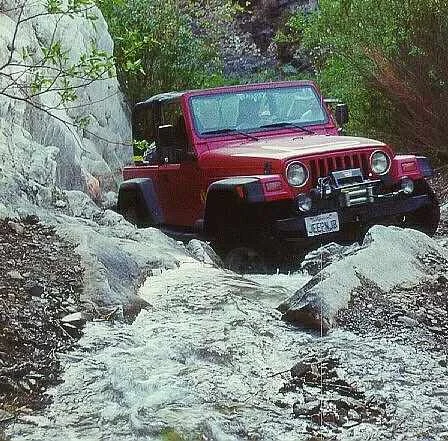 14JERRT1.webp