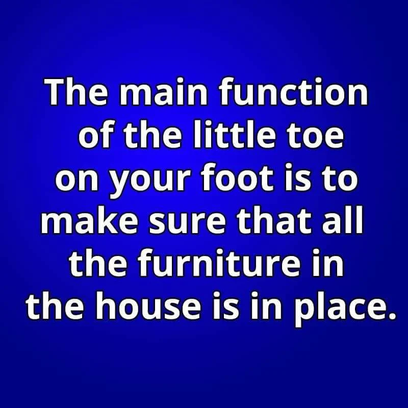 1611577808546.webp
