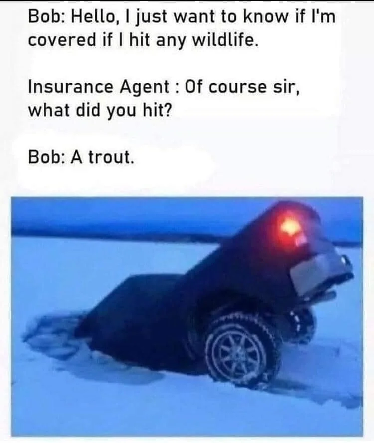 1615269359907.webp
