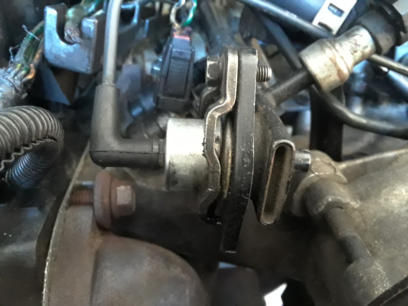 Does anyone know where this hose leads to? | Jeep Wrangler TJ Forum