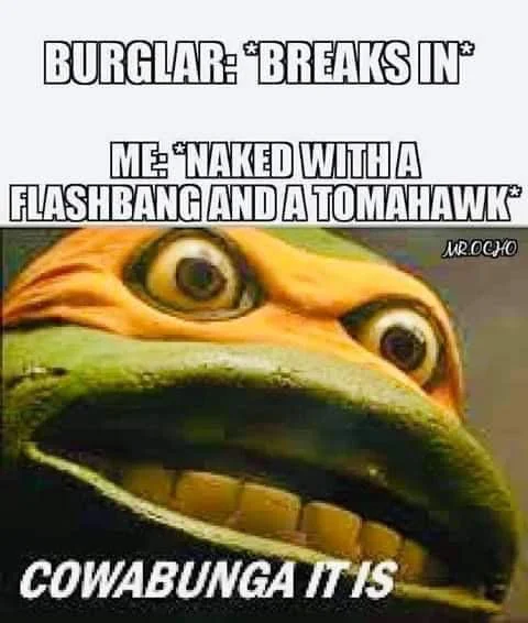 1617228872291.png