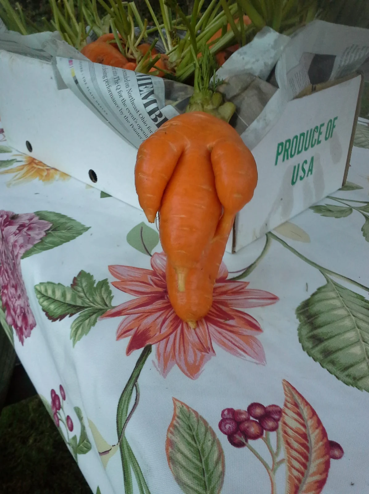 1617473817120.webp