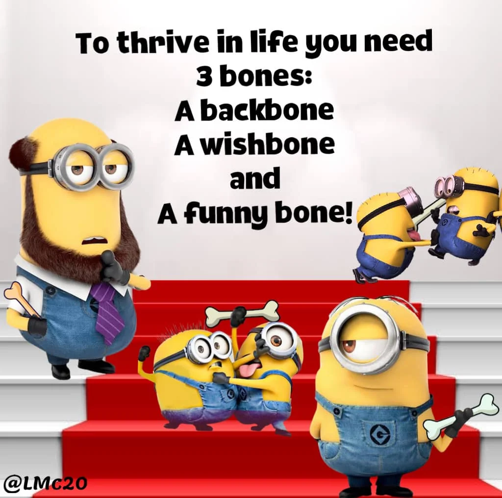 1617986029173.webp