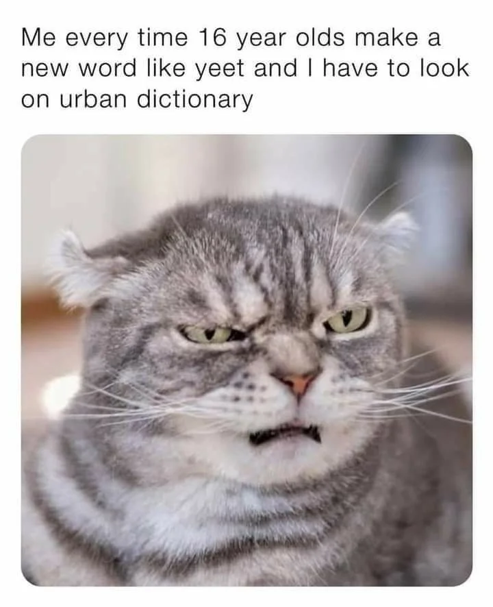 1620445174048.png