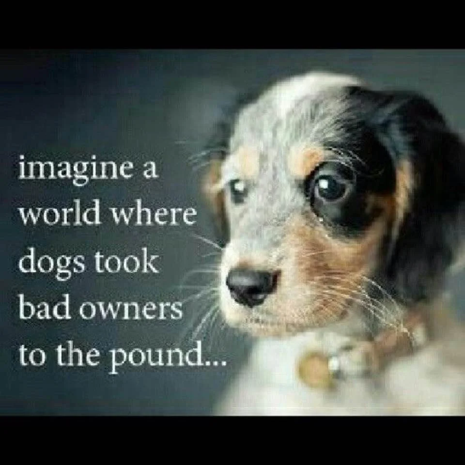 1620588892971.webp