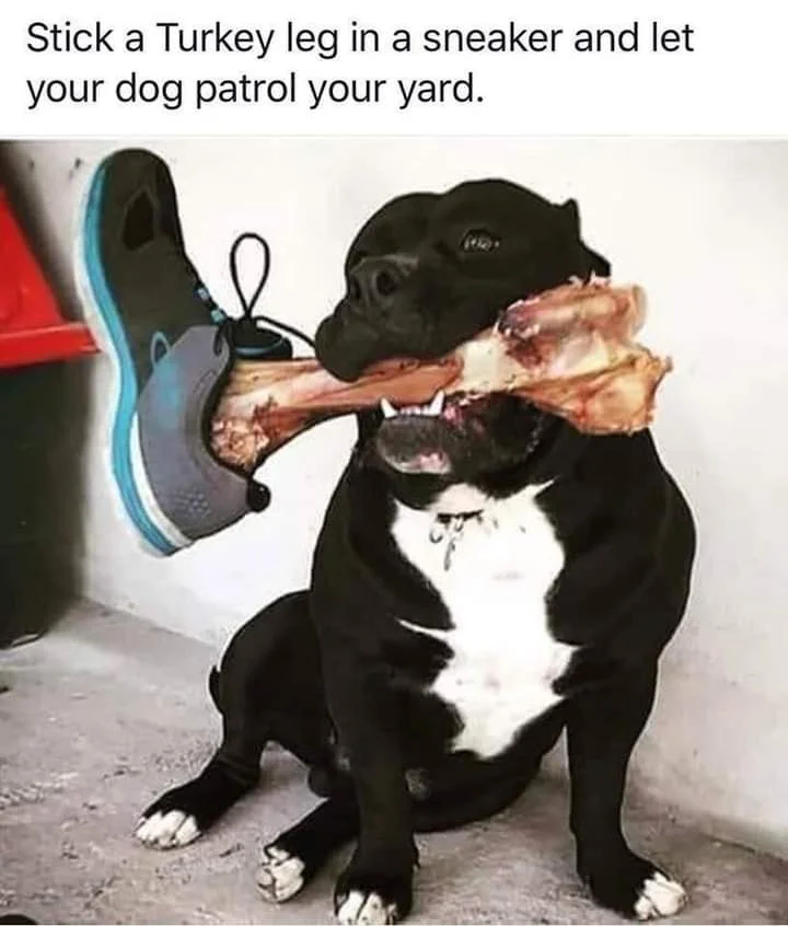 1621038170789.webp