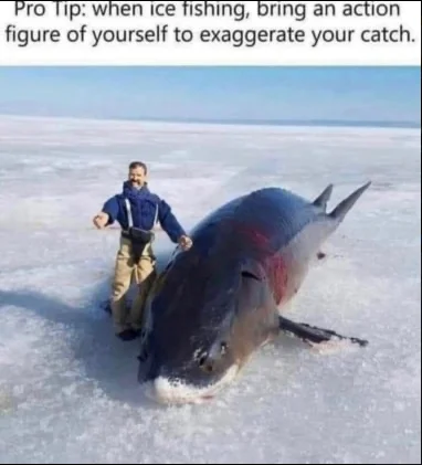 1623162764084.webp
