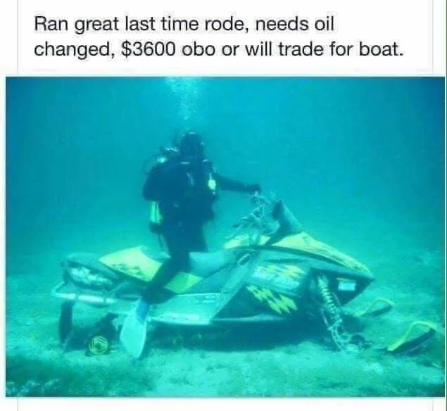 1623250482806.webp