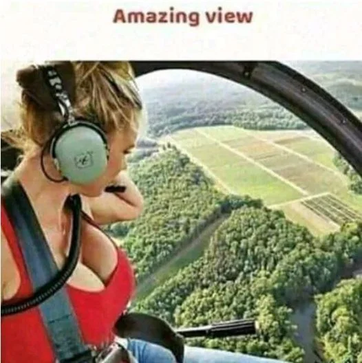 1624460927207.webp