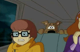 1628639917226.gif