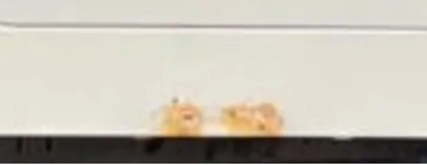 1643808563613.png