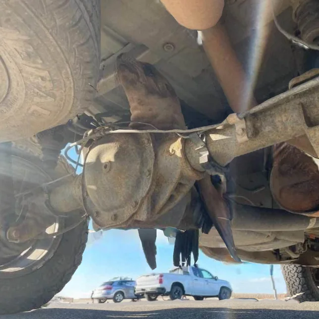 1648262375877.webp