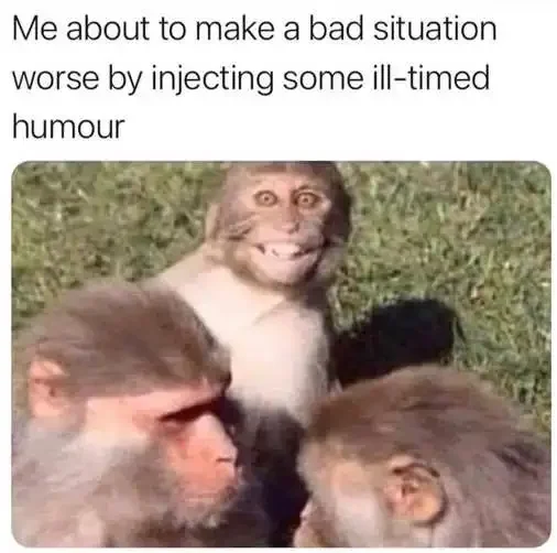1651943629259.webp