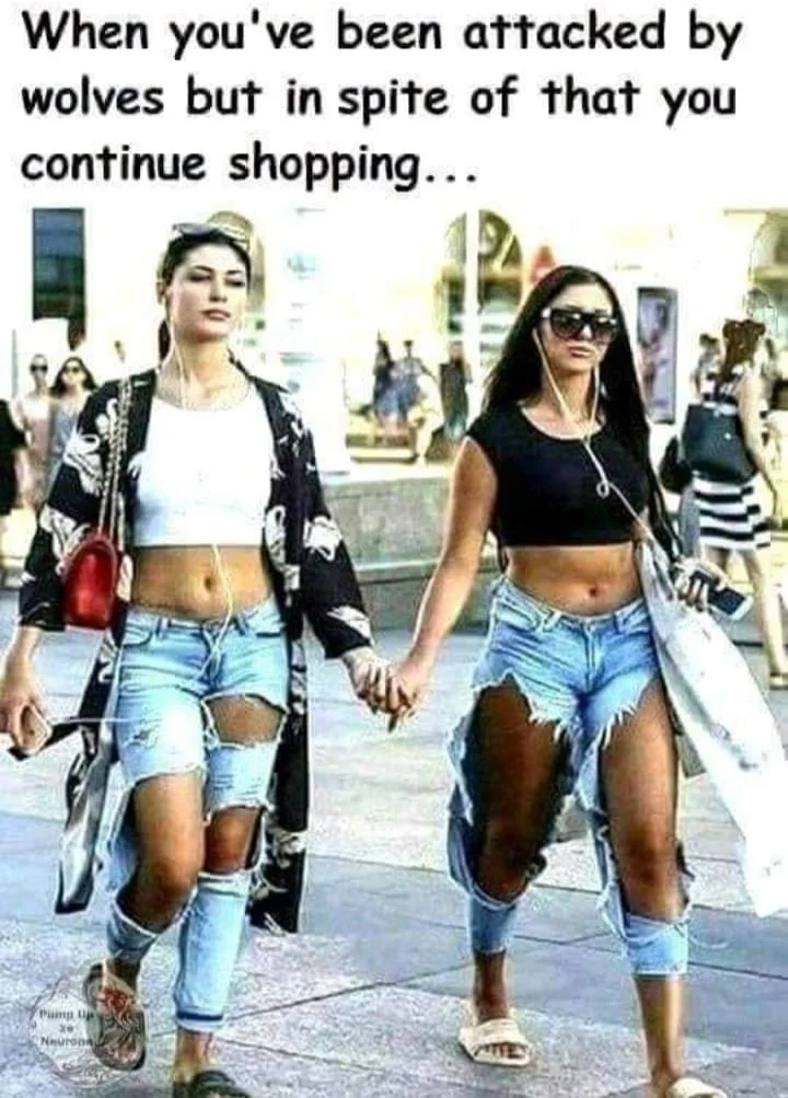 1652569484989.webp