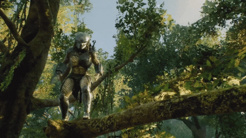 1652971244201.gif