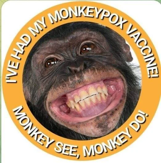 1653087162687.webp