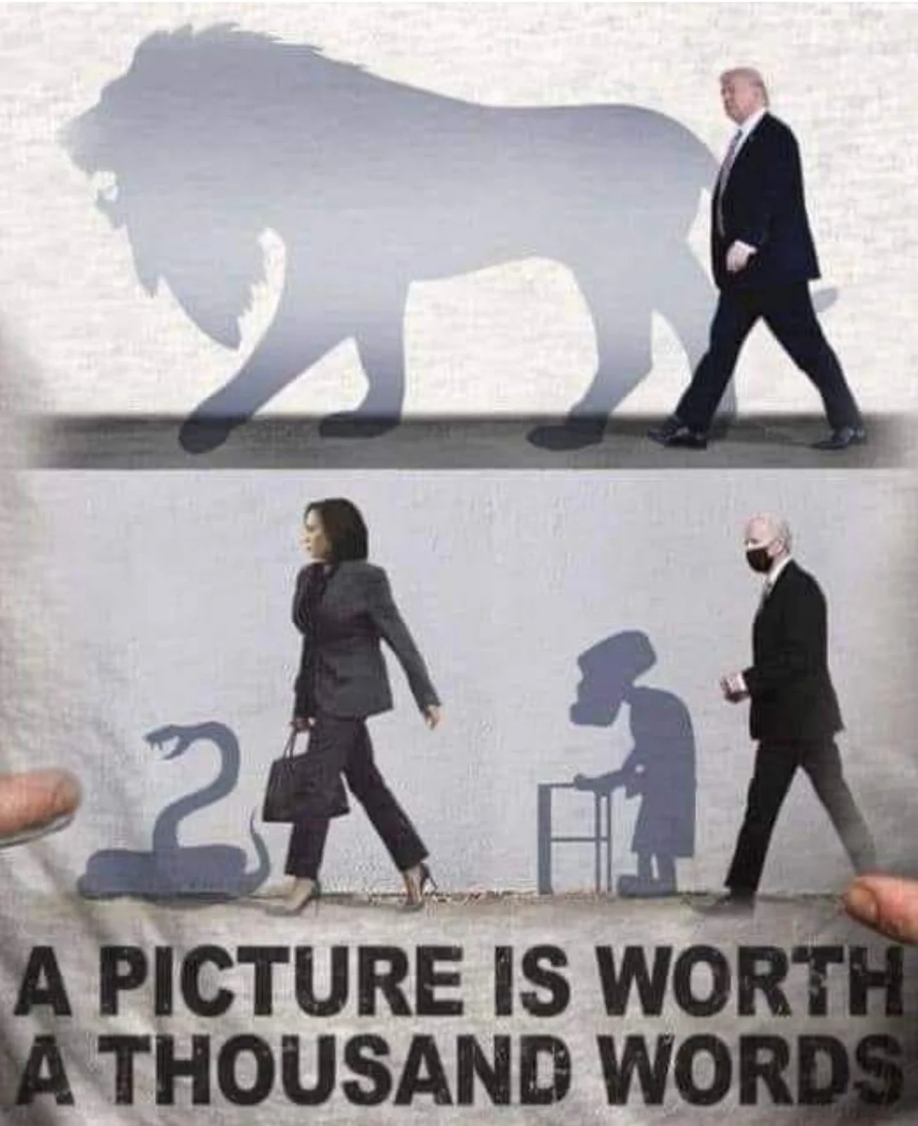 1653087393894.webp