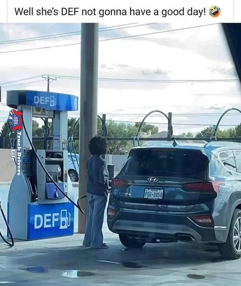 1659287927595.webp
