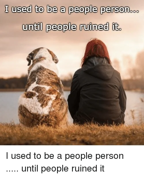 1667521662098.webp