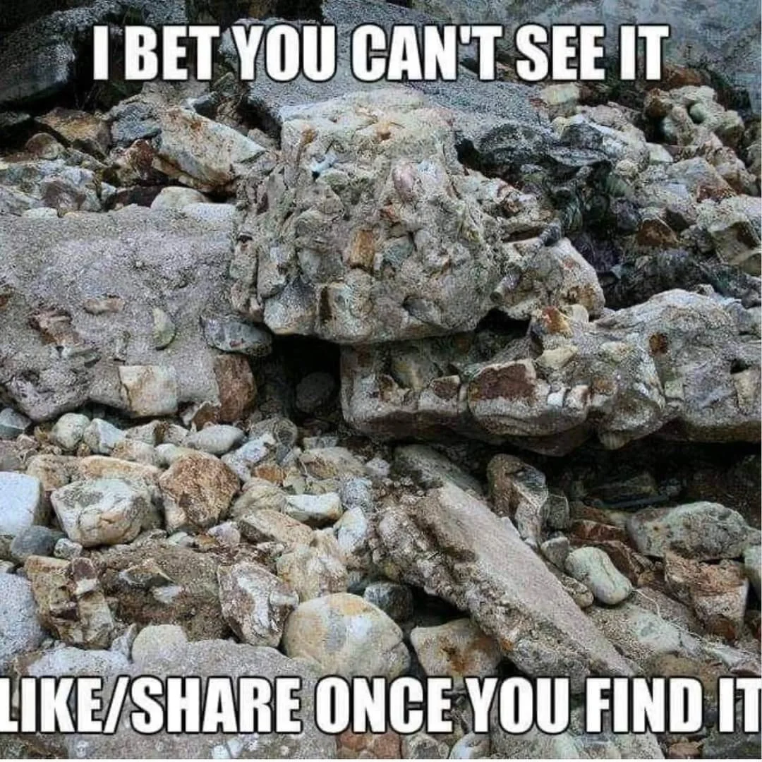 1670149373793.webp