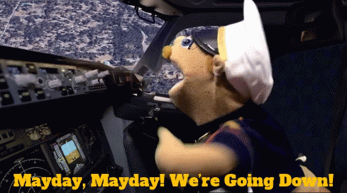 1676507156855.gif