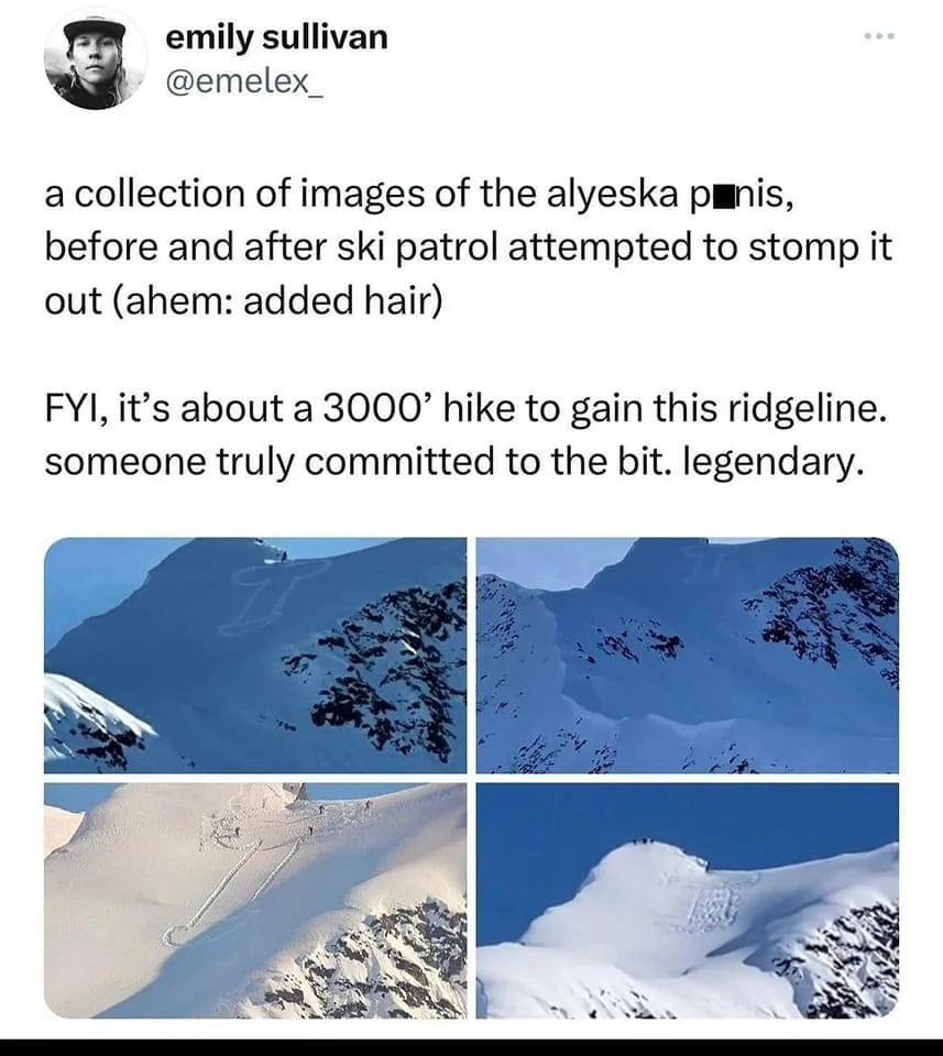1678919750655.webp